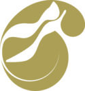 termeh.com.au